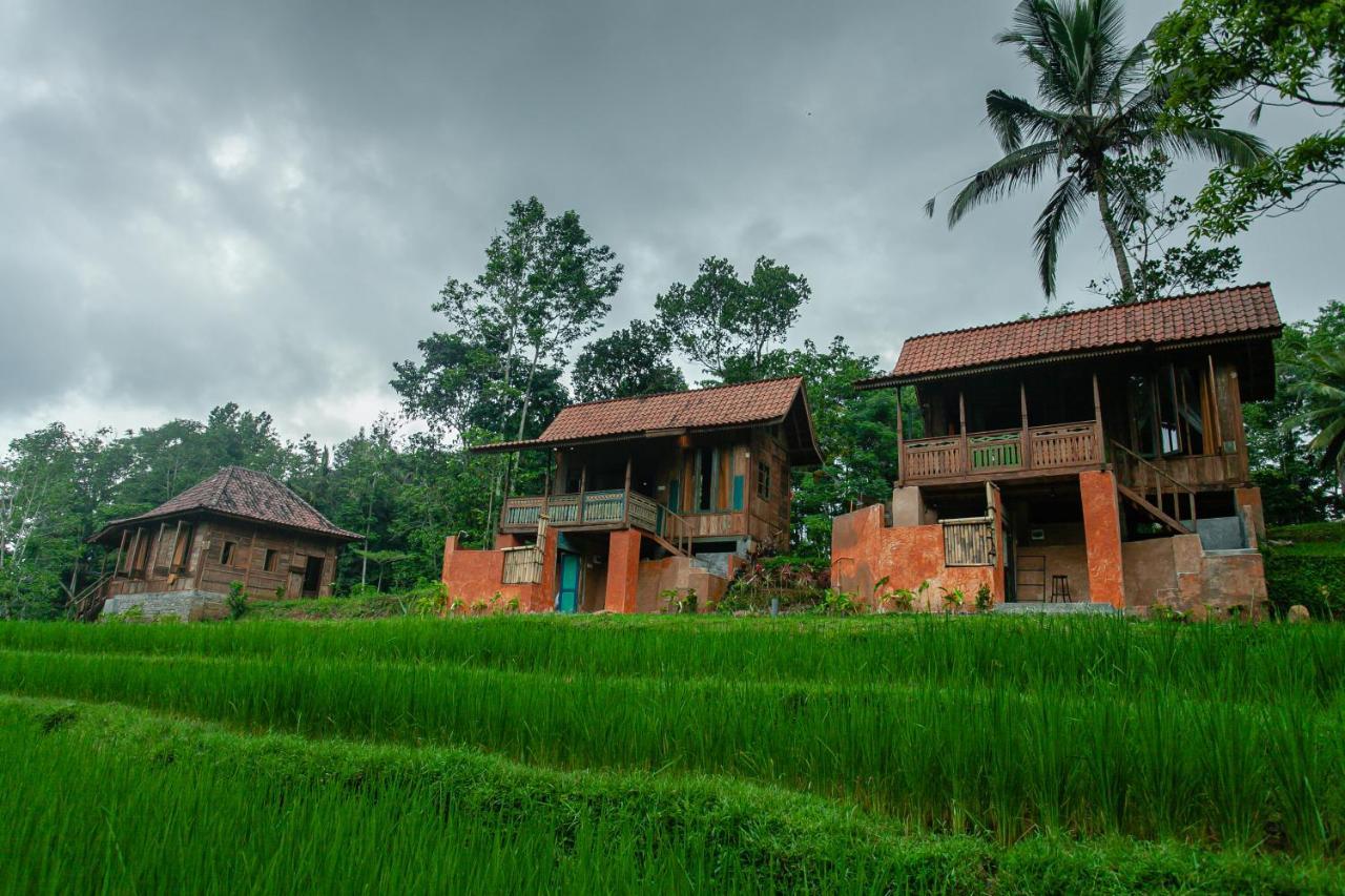 Tepi Sawah Lodge & Retreat 贾蒂卢维 外观 照片